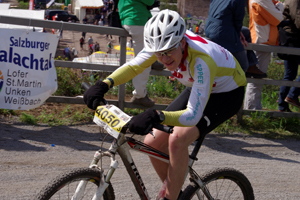 Sturmvogel in Gelb Rot